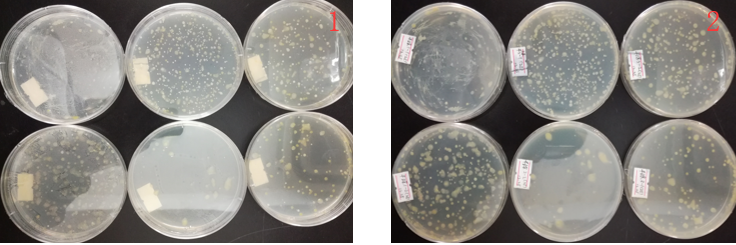 “超聲波處理對(duì)稻谷表面微生物的影響”發(fā)表論文啦??！