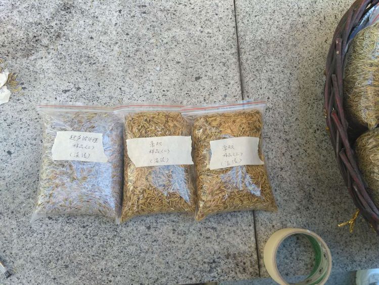 “超聲波處理對(duì)稻谷表面微生物的影響”發(fā)表論文啦??！