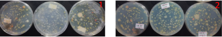 “超聲波處理對(duì)稻谷表面微生物的影響”發(fā)表論文啦??！